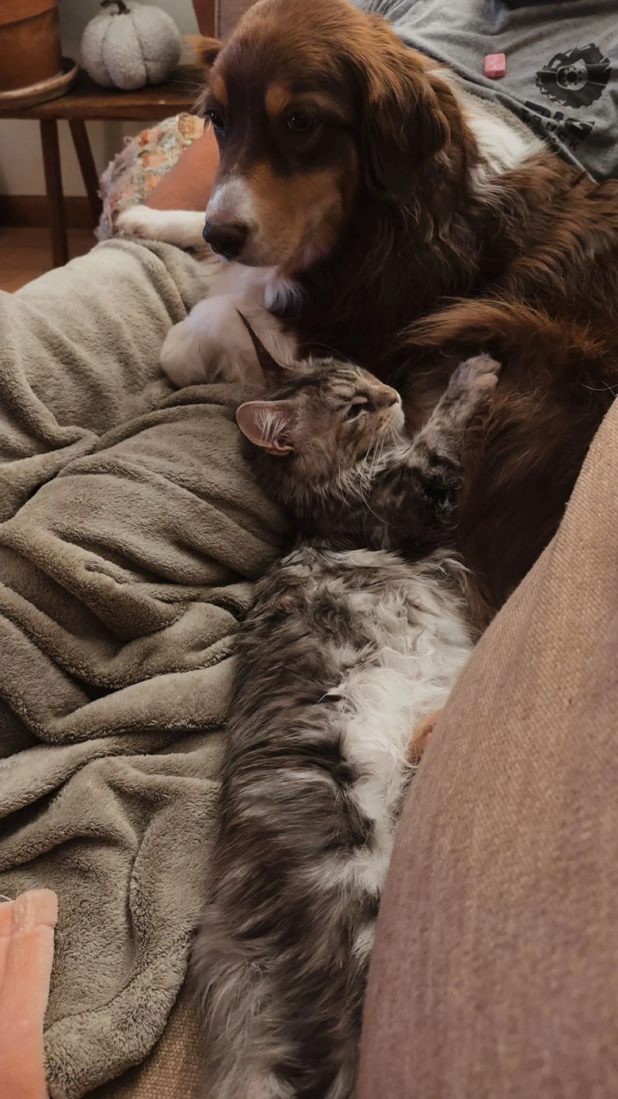 Freya-Home Pic from O 8-with friend.jpeg