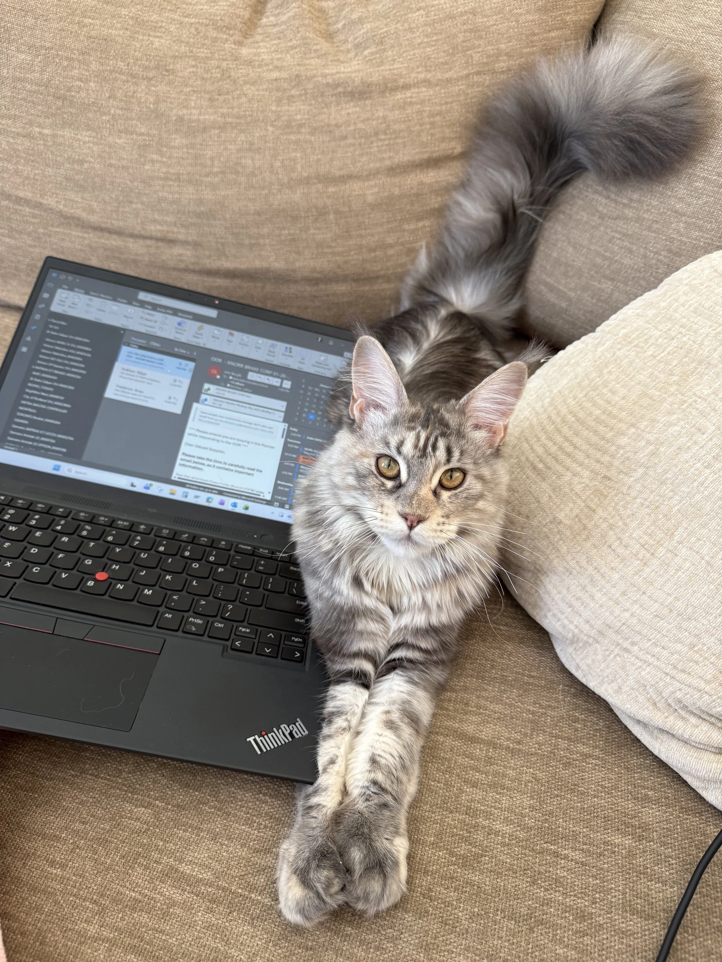 Freya-Home Pic from O 10-working.jpeg