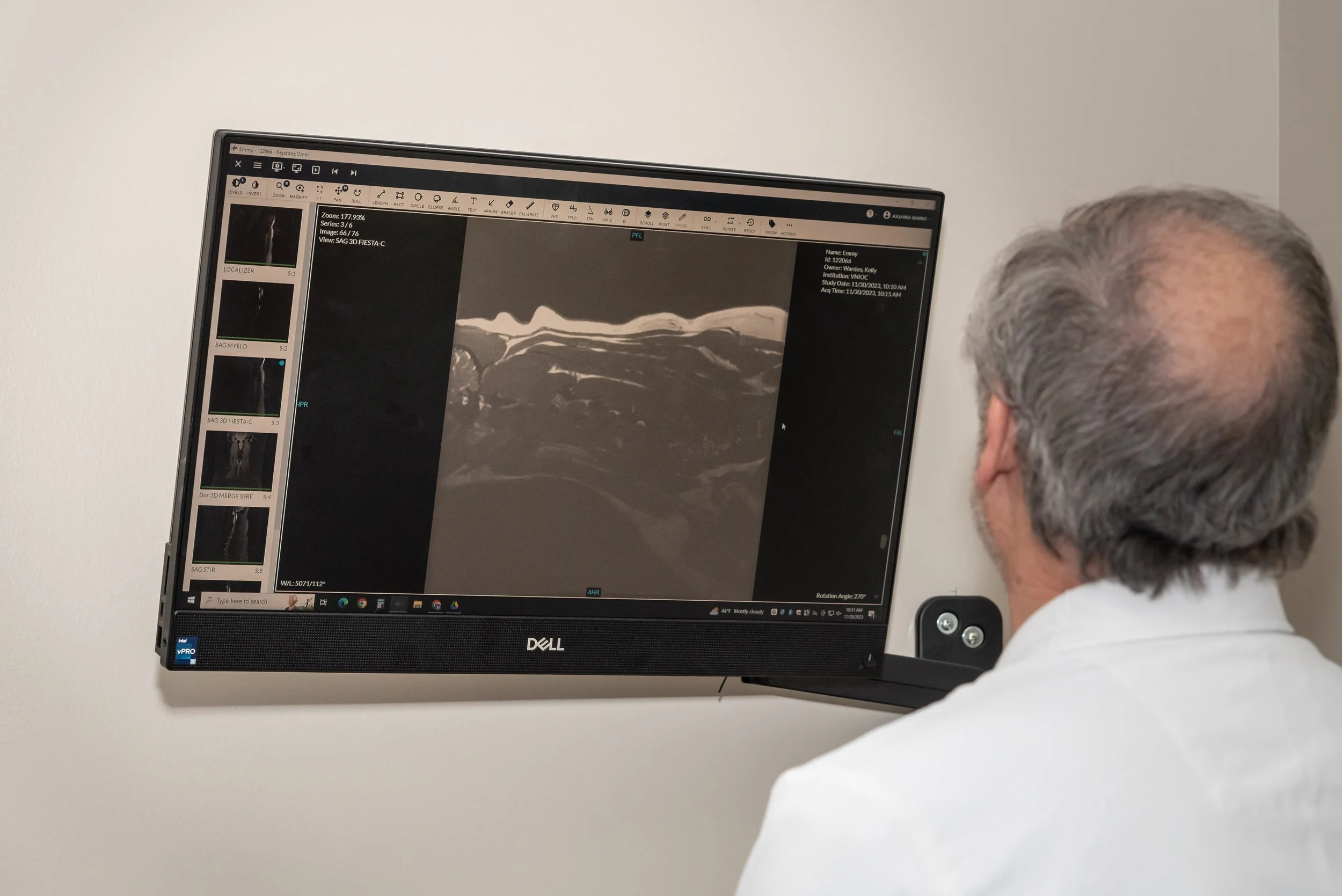 Veterinary neurologist reviewing MRI scan of dog's brain for MUE diagnosis