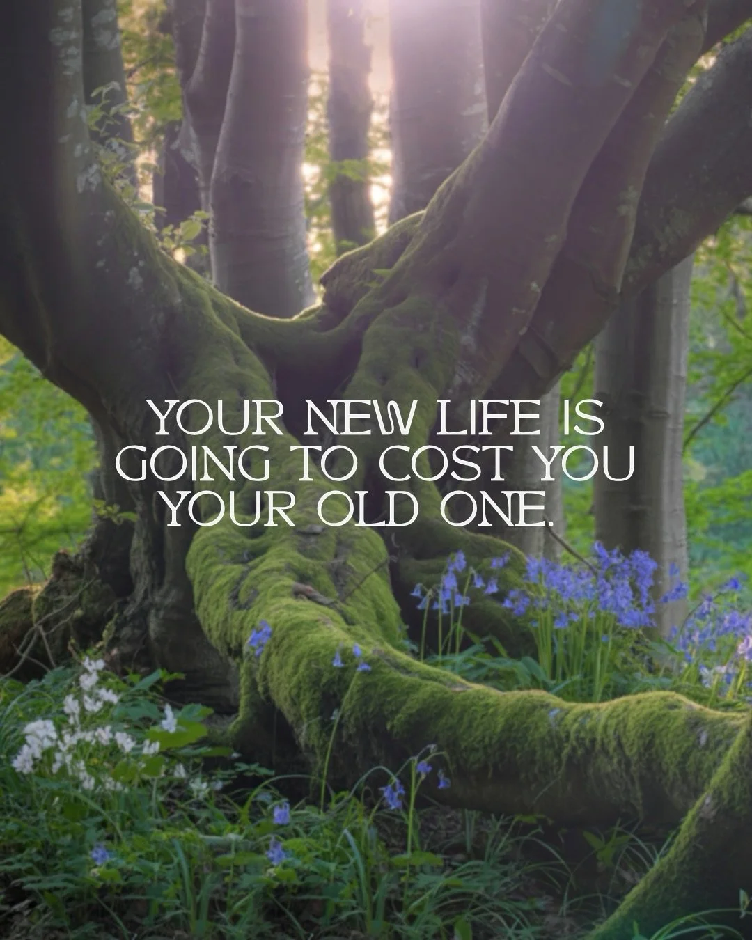 What are you willing to leave behind to step into the next version of your life? 🕊️

We&rsquo;ve traversed the plains of our own unraveling and rebirth many times, for many reasons - leaving behind countless outdated or unaligned versions of ourselv