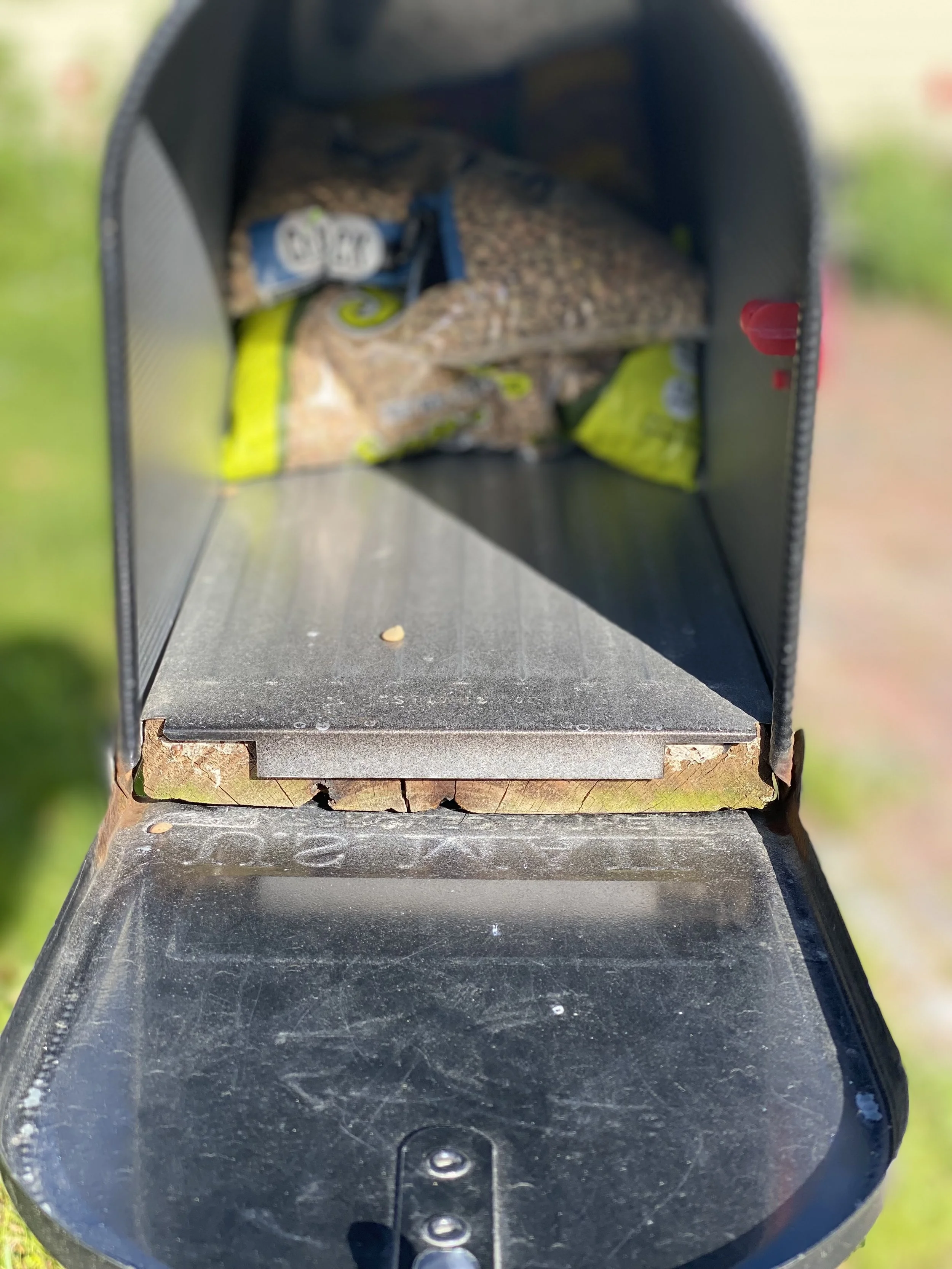 Unexpected  Surprises 