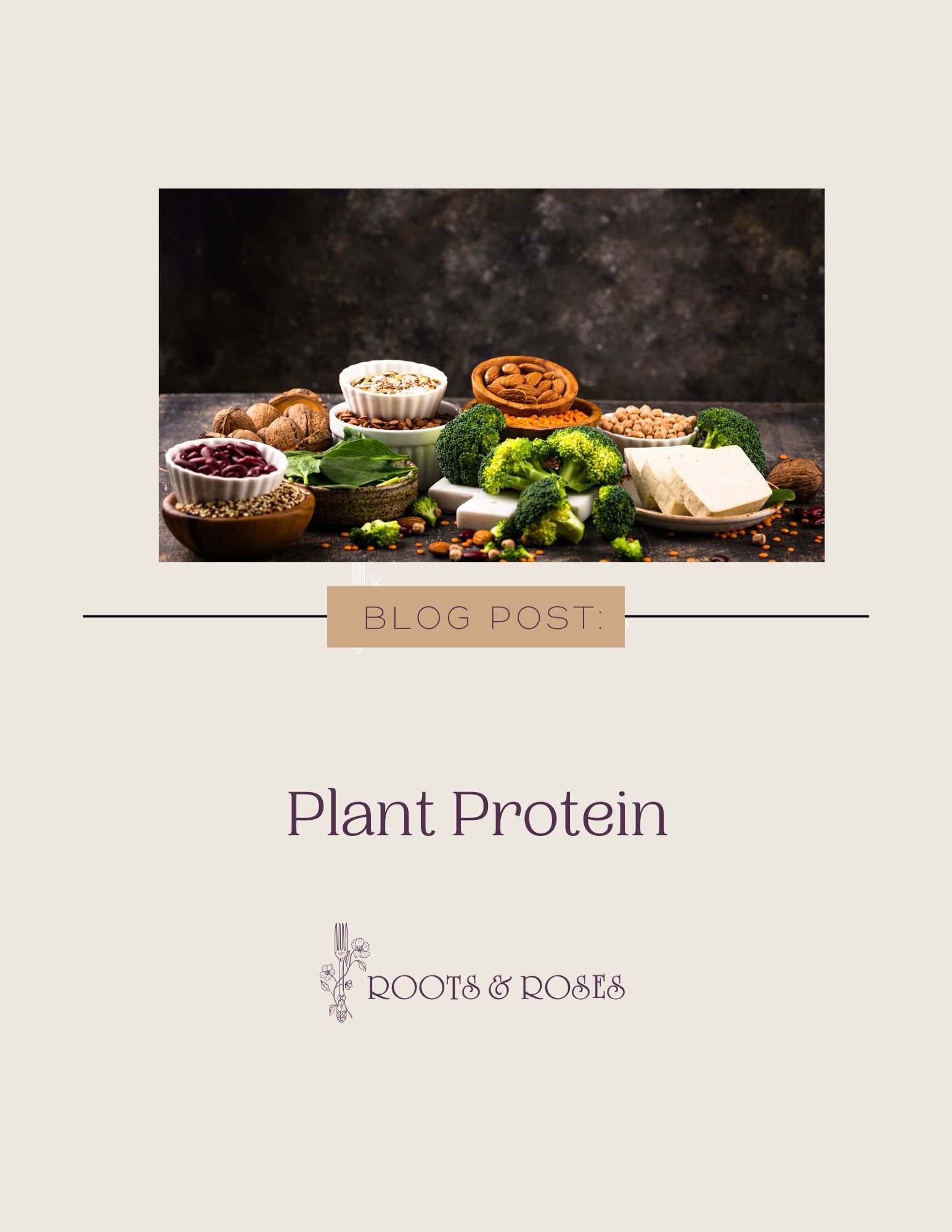 Plant Protein