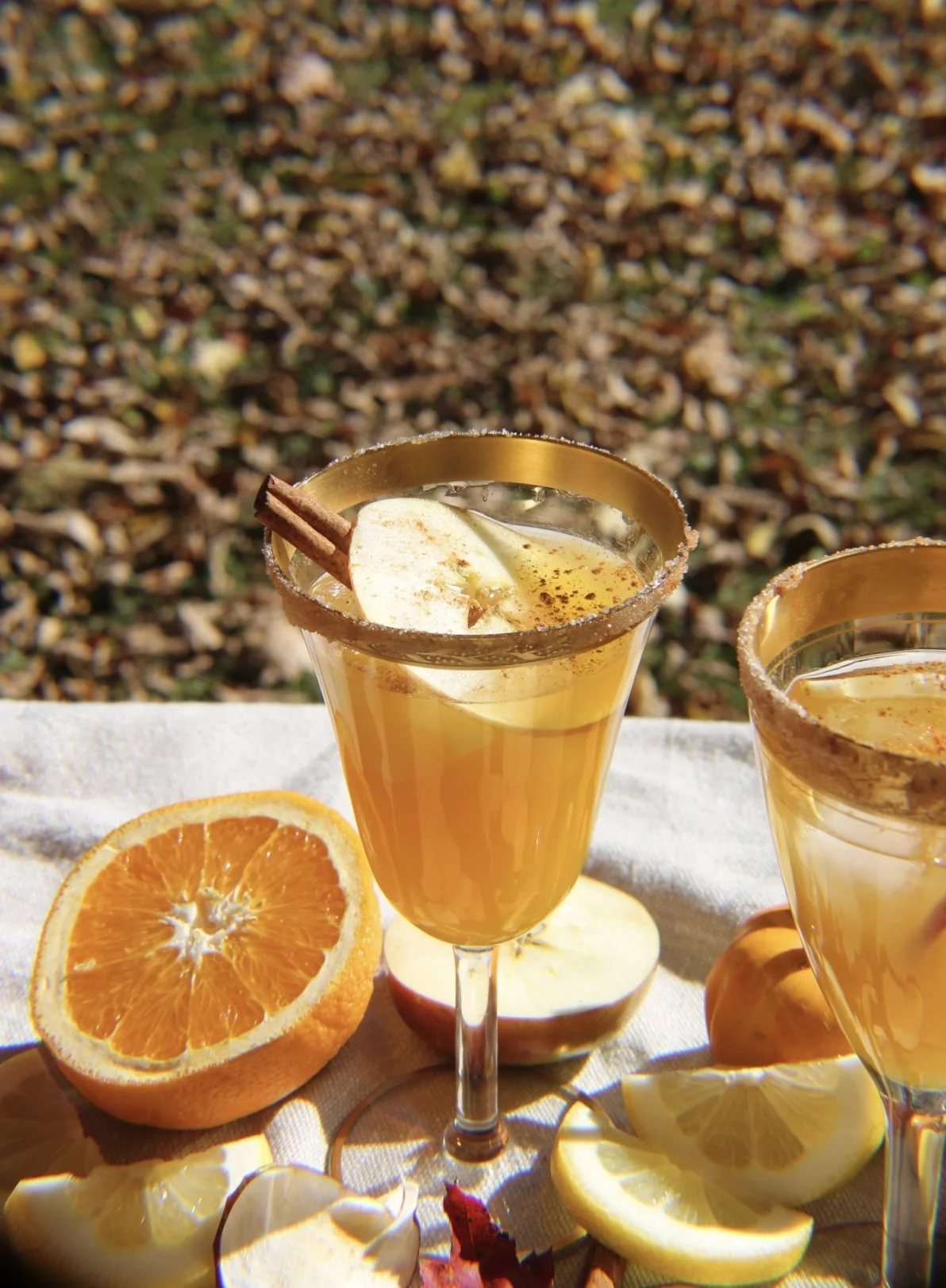 Apple Cider Mocktail