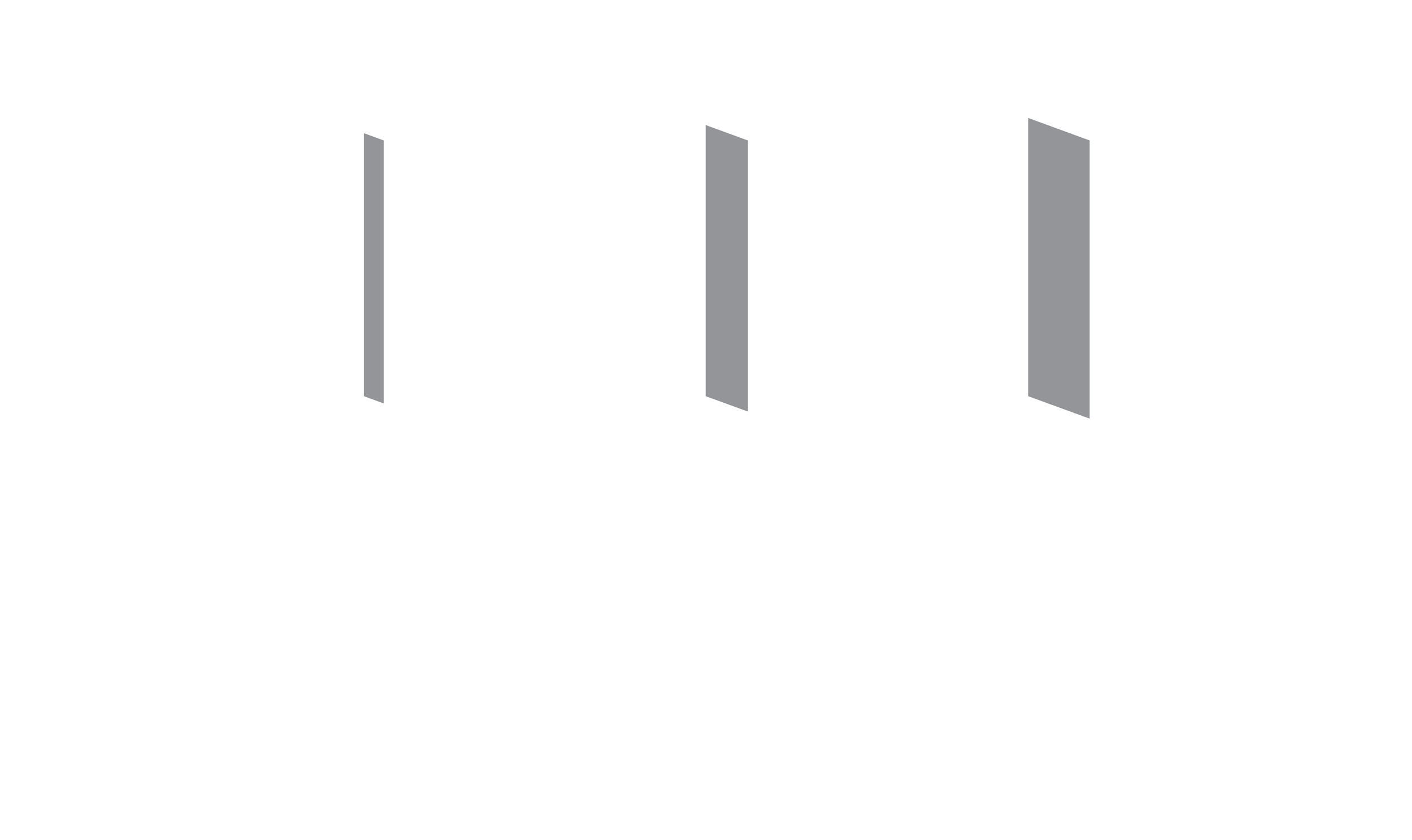 BPAA logo white.png
