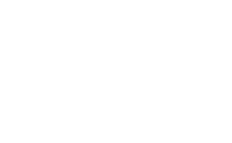 acp logo w.png