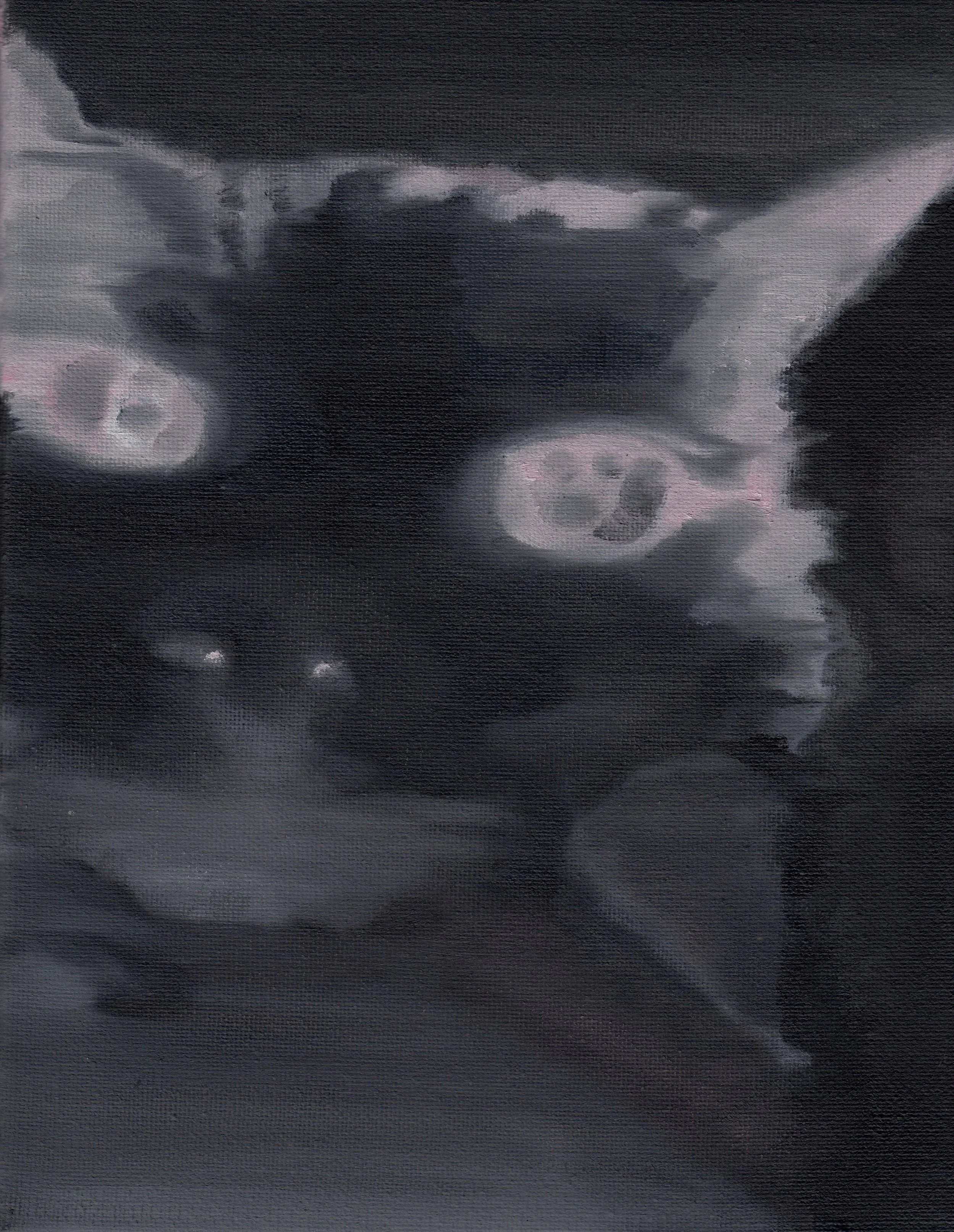 Mario+Lautier-Vella+In+The+Dark.jpg