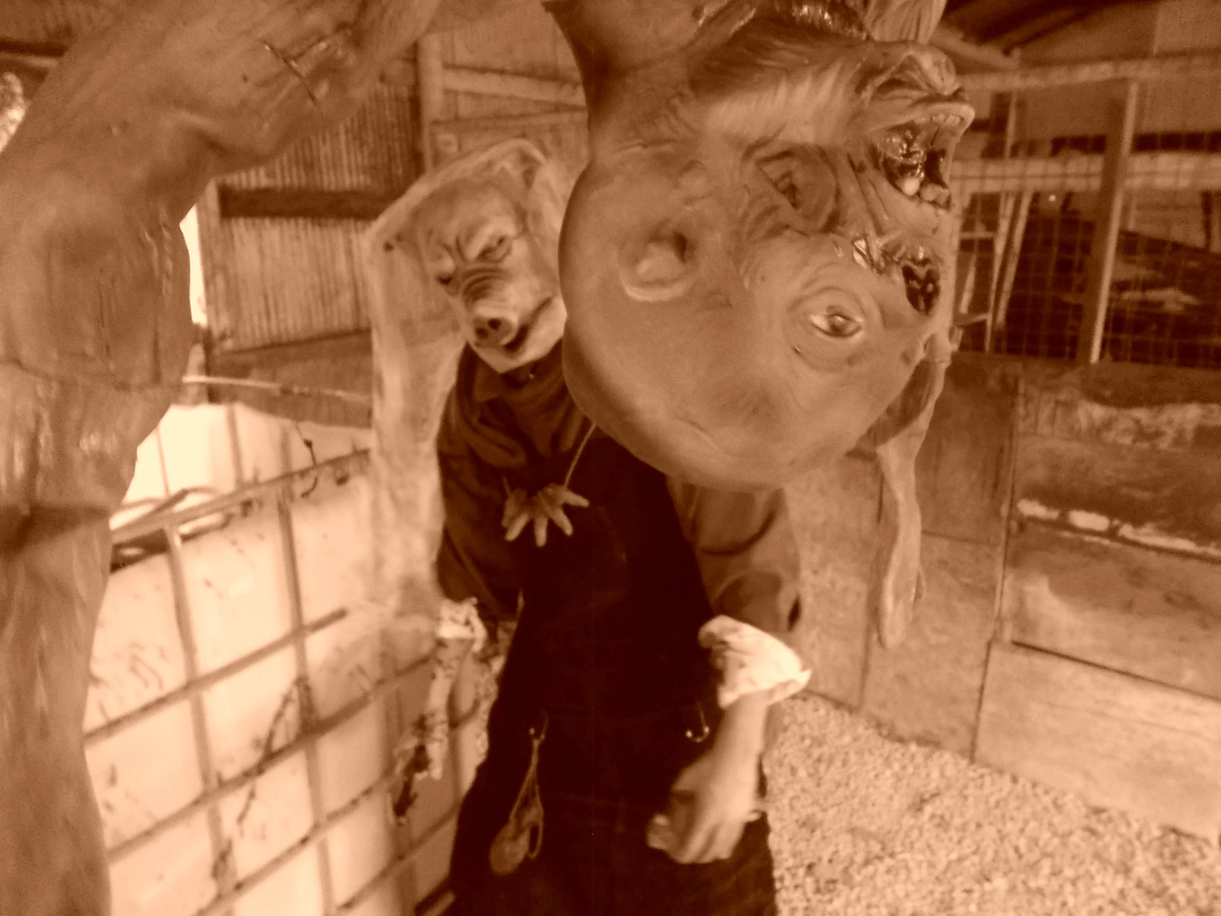 DSCN0324.JPG