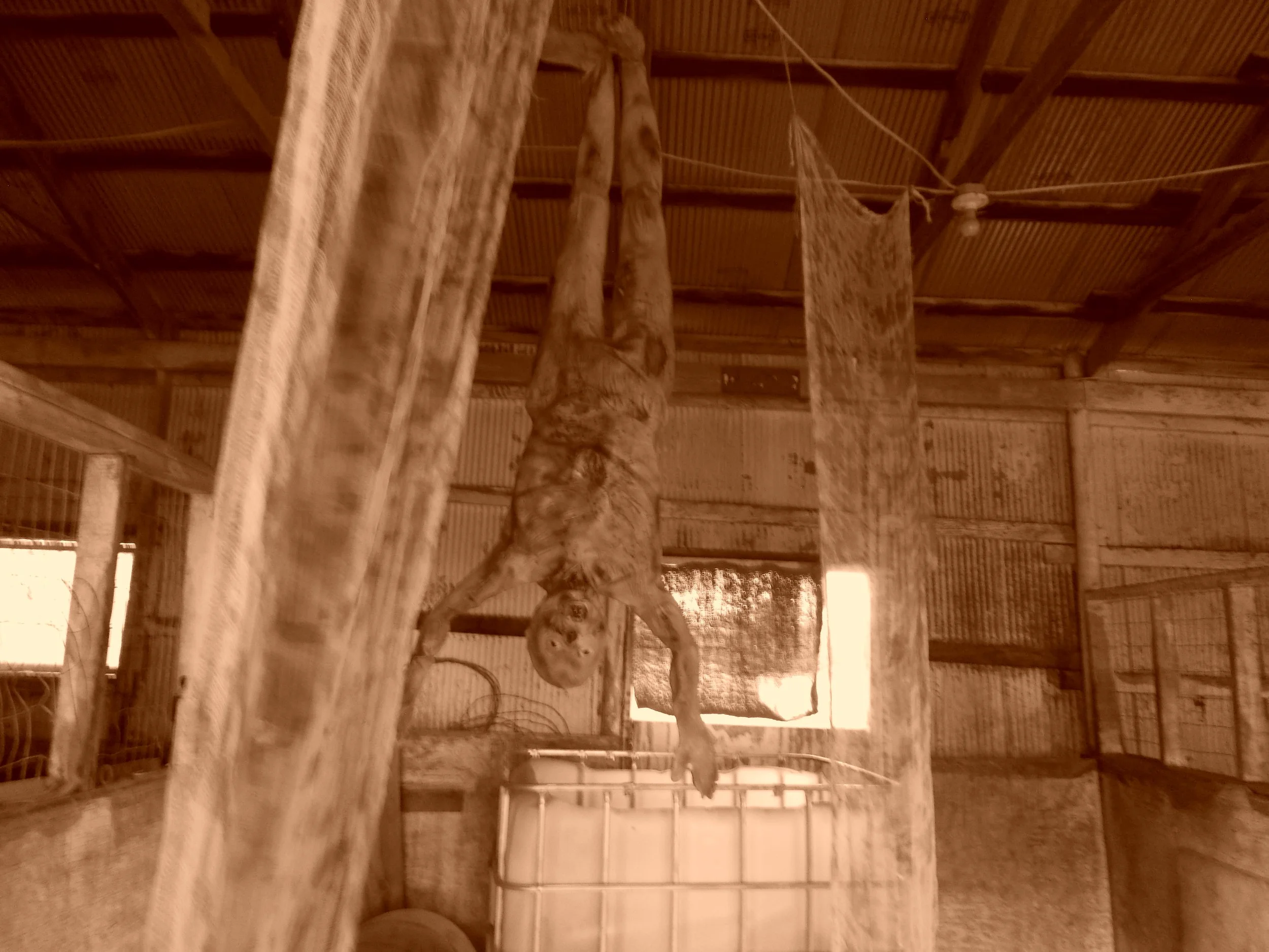 DSCN0276.JPG