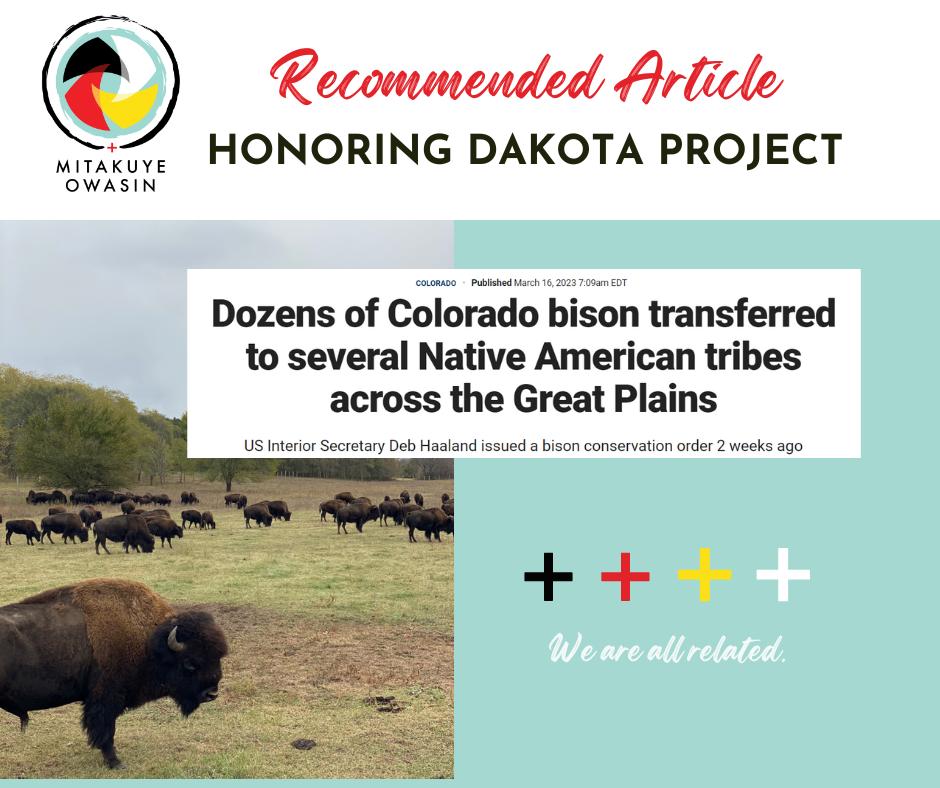 Buffalo Reclamation to Their Homeland in 1992 — Honoring Dakota