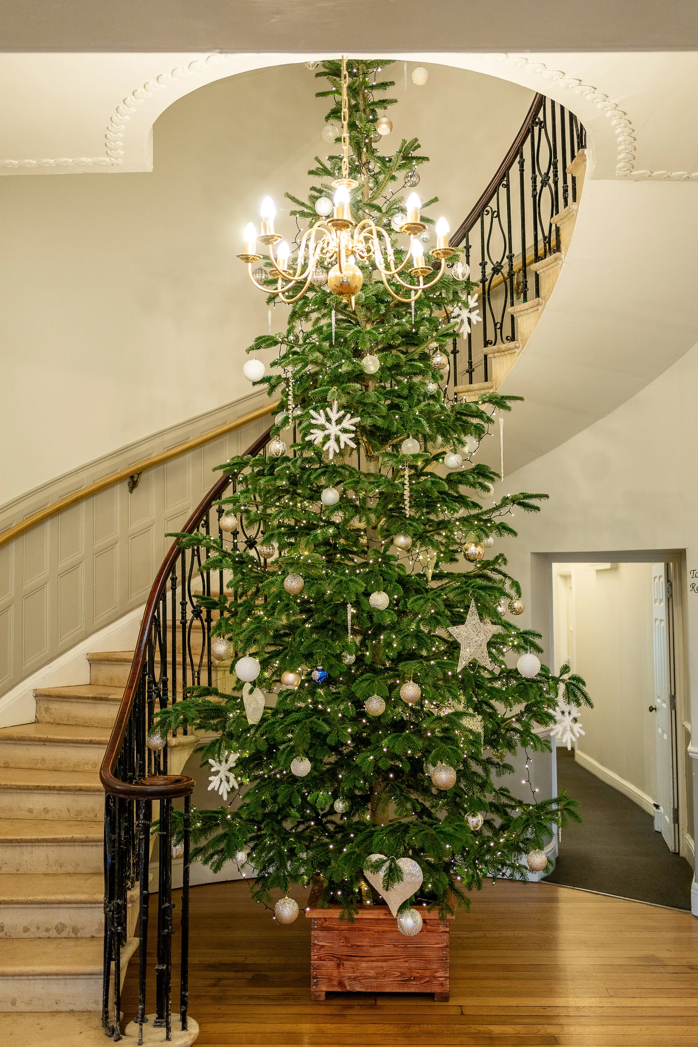 010 kelly george.jpg