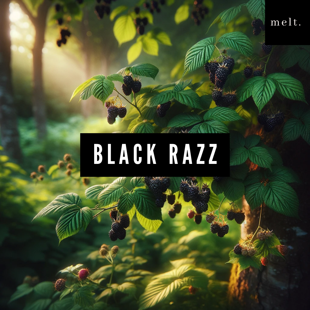 Black Razz candle by melt., accompanied by visual elements of berries, vanilla, and citrus, representing its vibrant and refreshing fragrance.