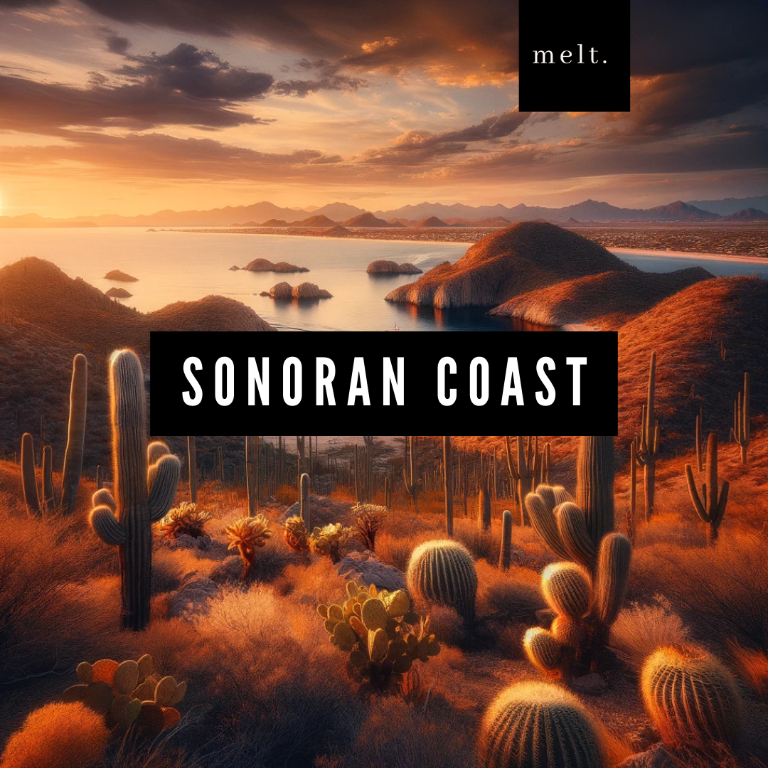 Sonoran Coast