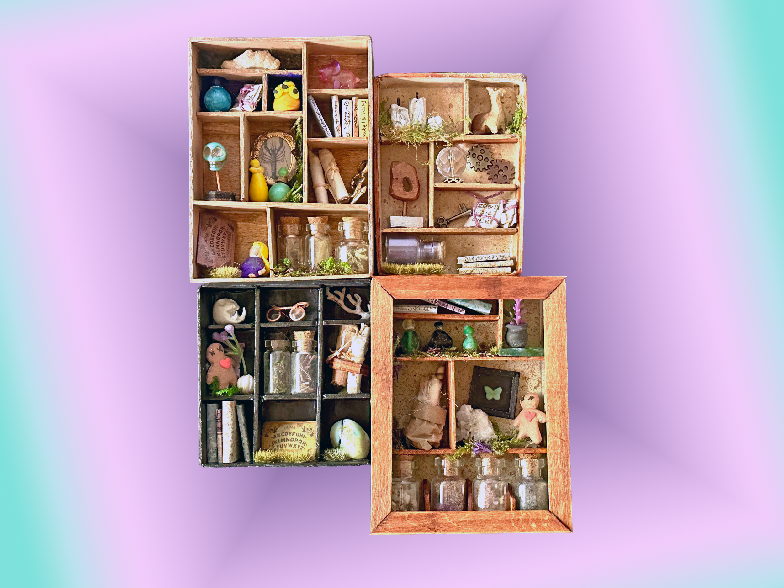 curiosities shelves