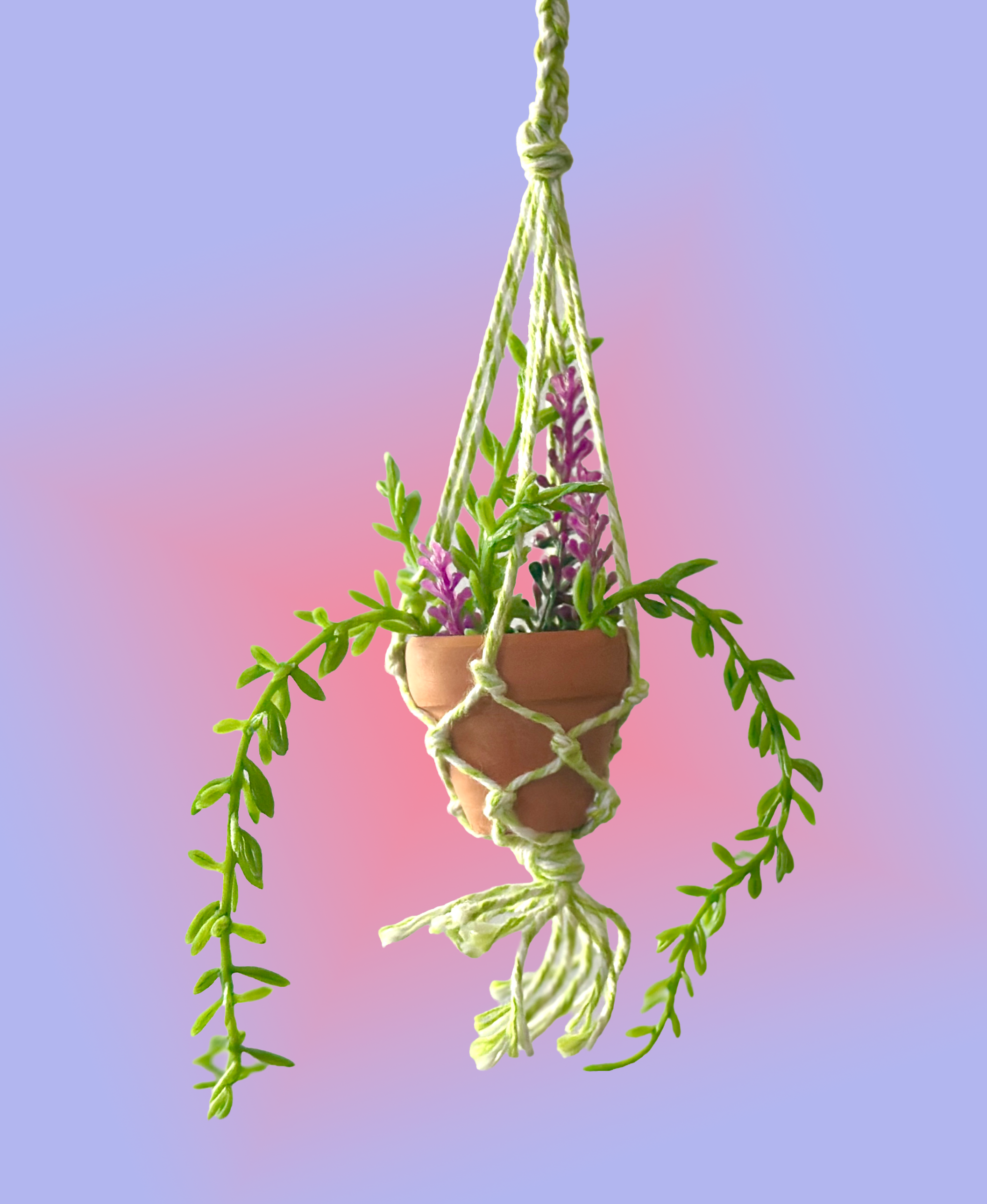 mini macrame hanging plant