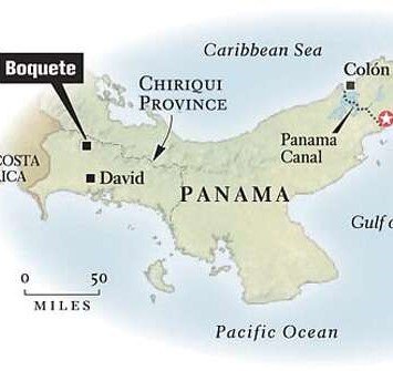 Panama Bouquette