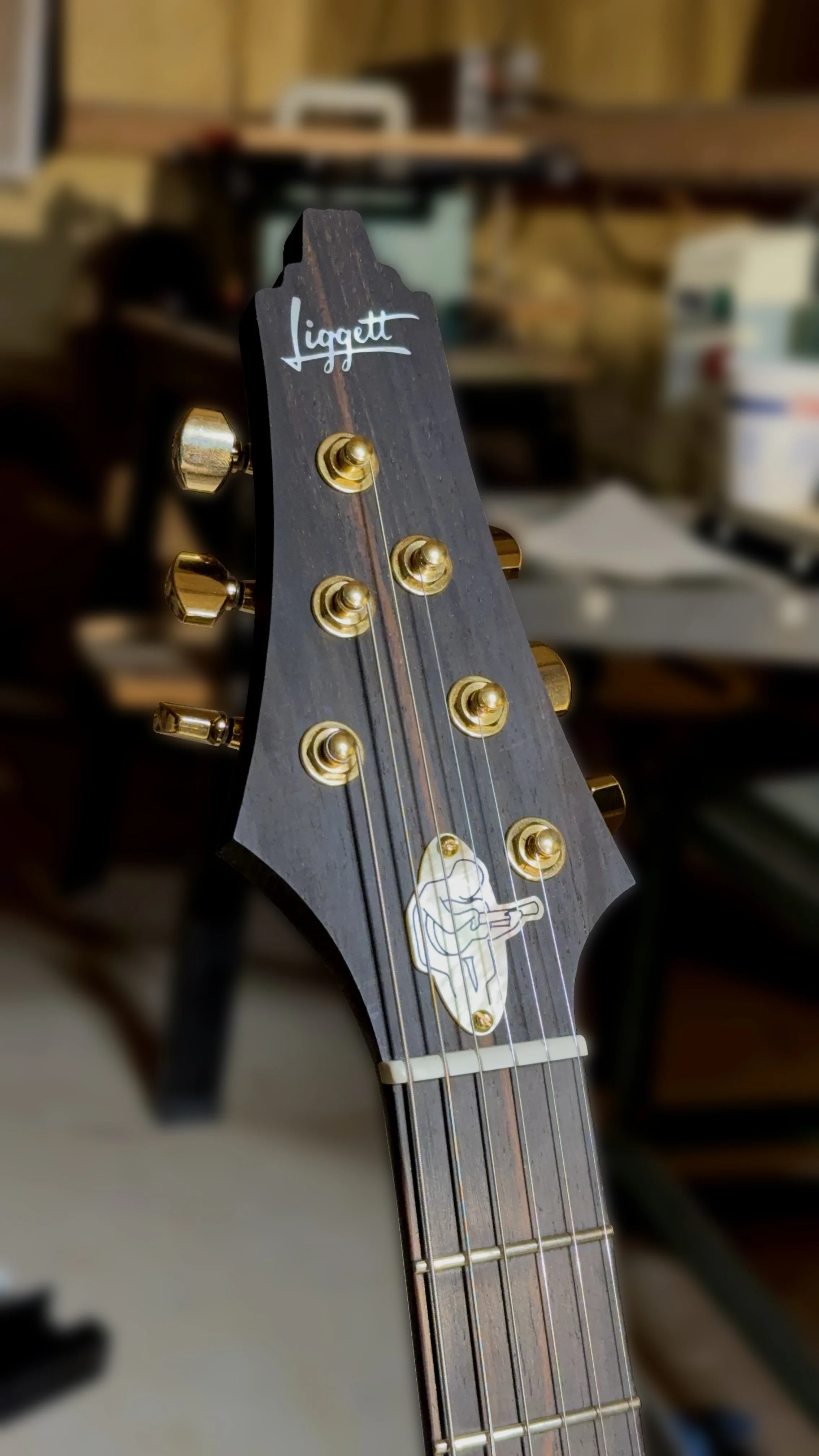 Roberto-Venn 50th Anniversary Build