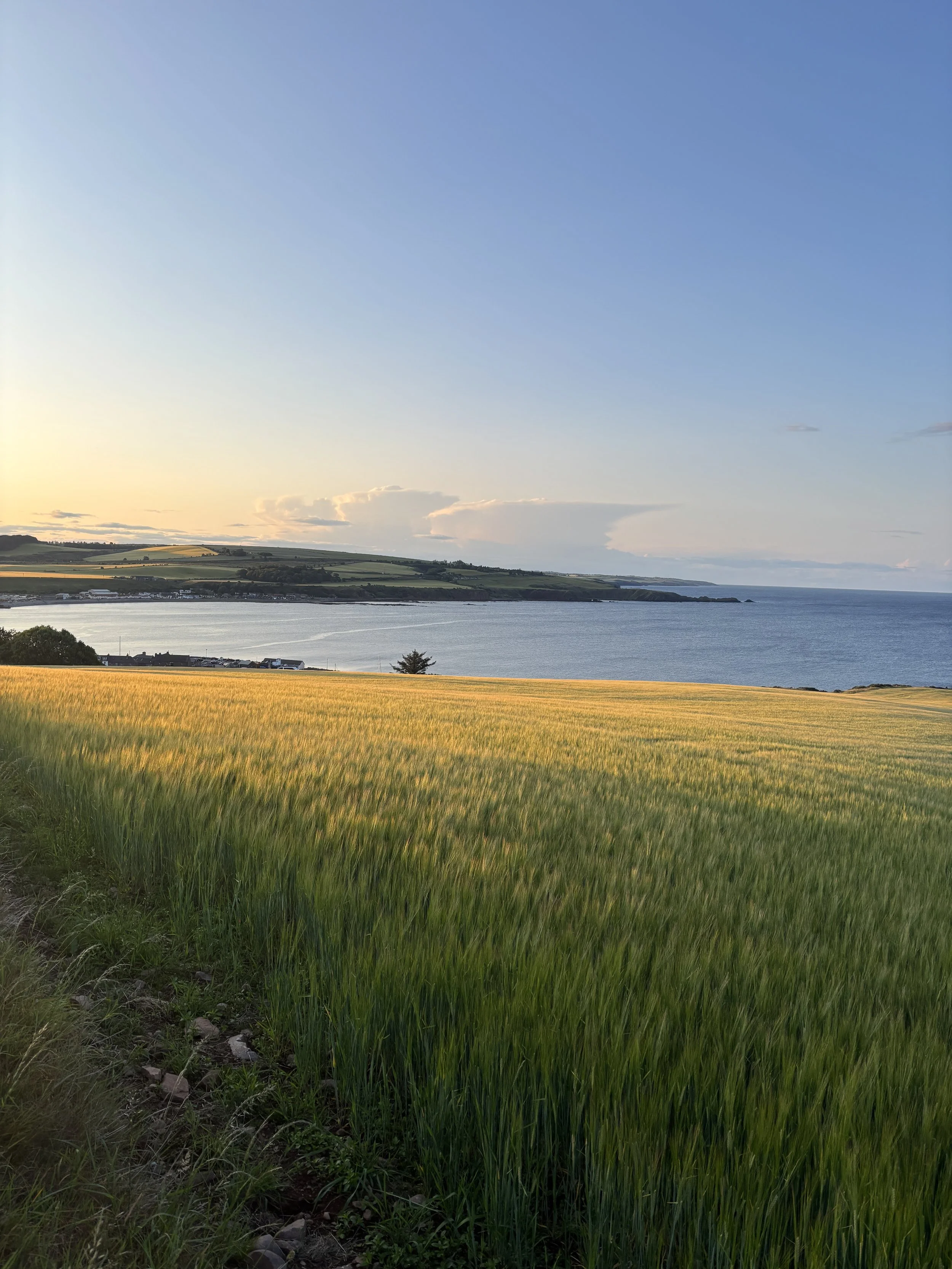 Menopause and Anxiety: What Recent Research Is Revealing About Your Brain and Emotional World