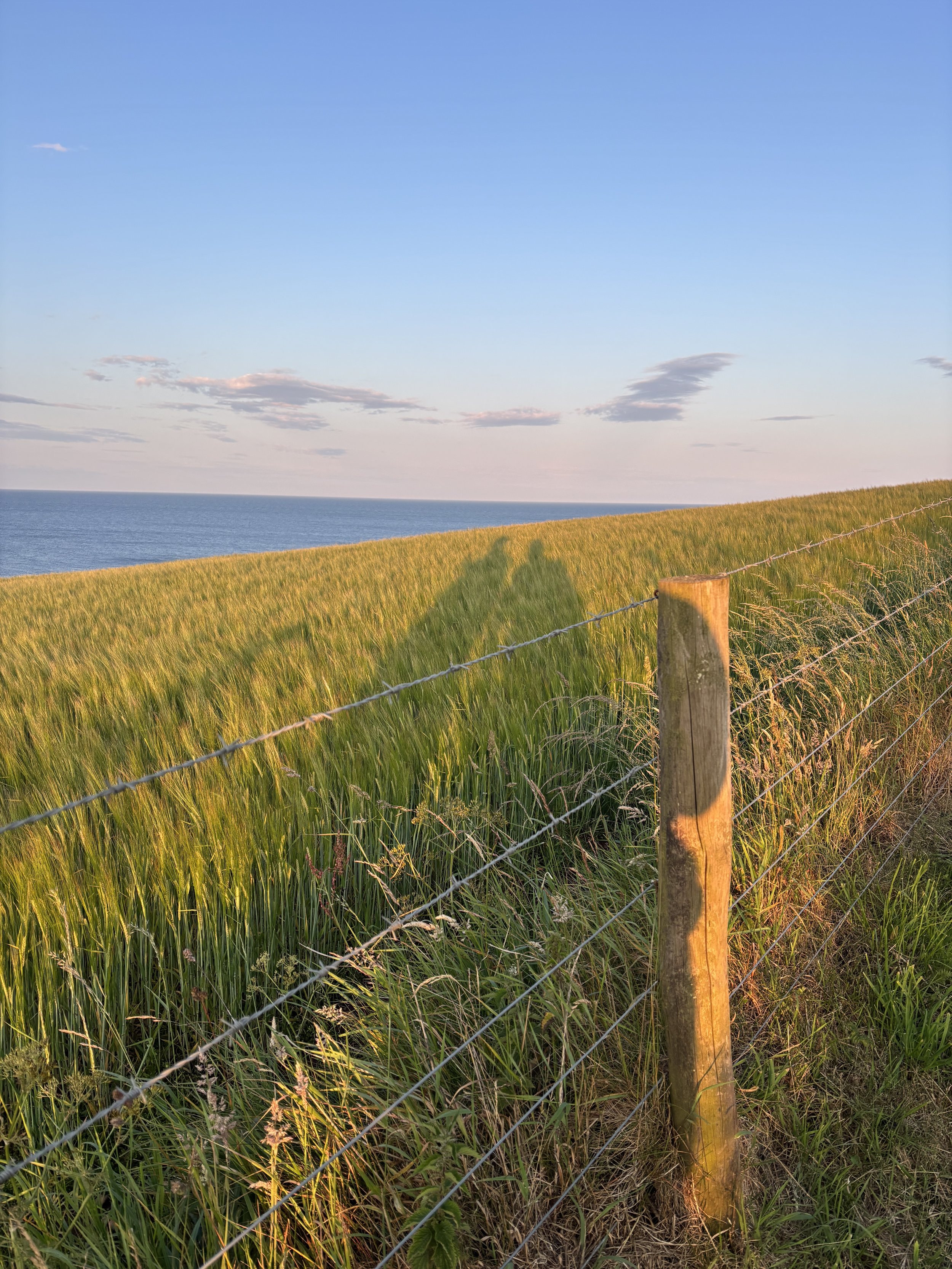 peaceful coastal scene with waves, blue sky, clouds and a castle ruin symbolising grounding and wellbeing