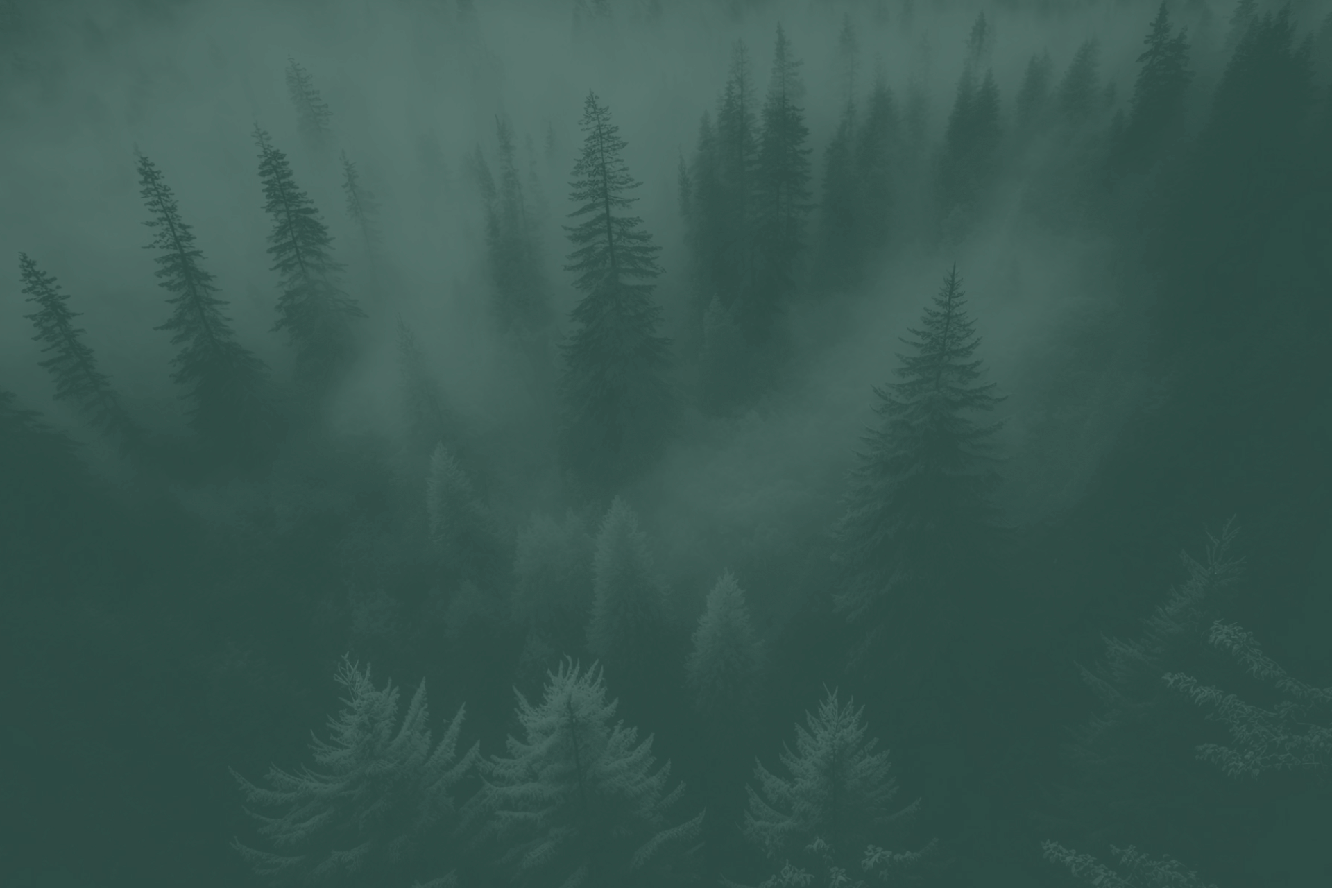 Pine Grove Communities Atlanta, GA