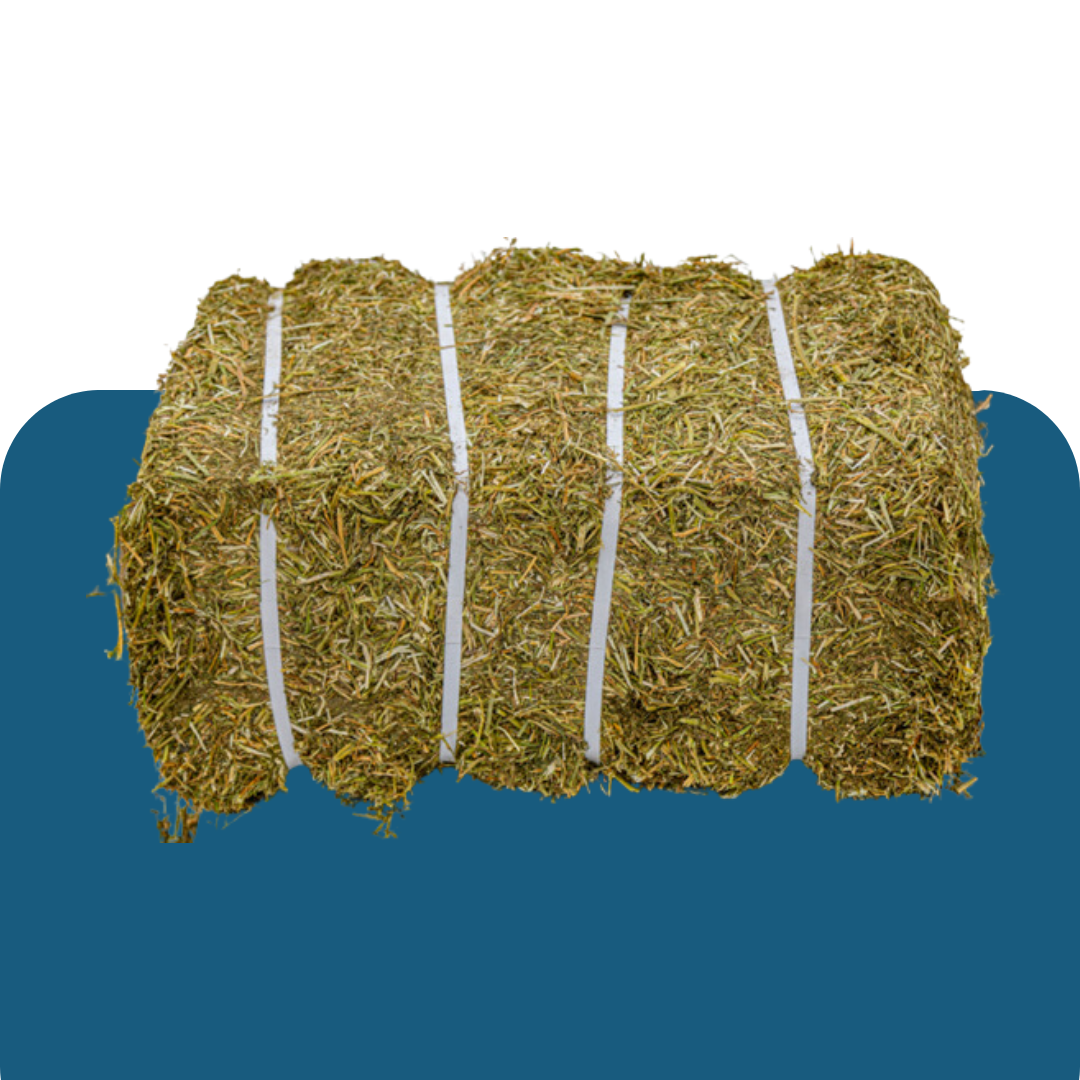 Lucerne Bales