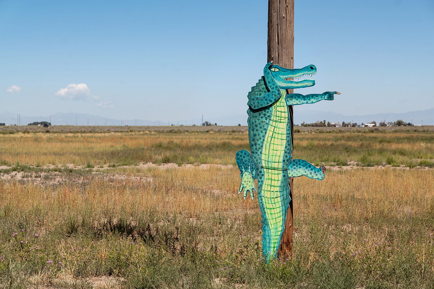 Travels and Curiosities - colorado gators reptile park reveiw