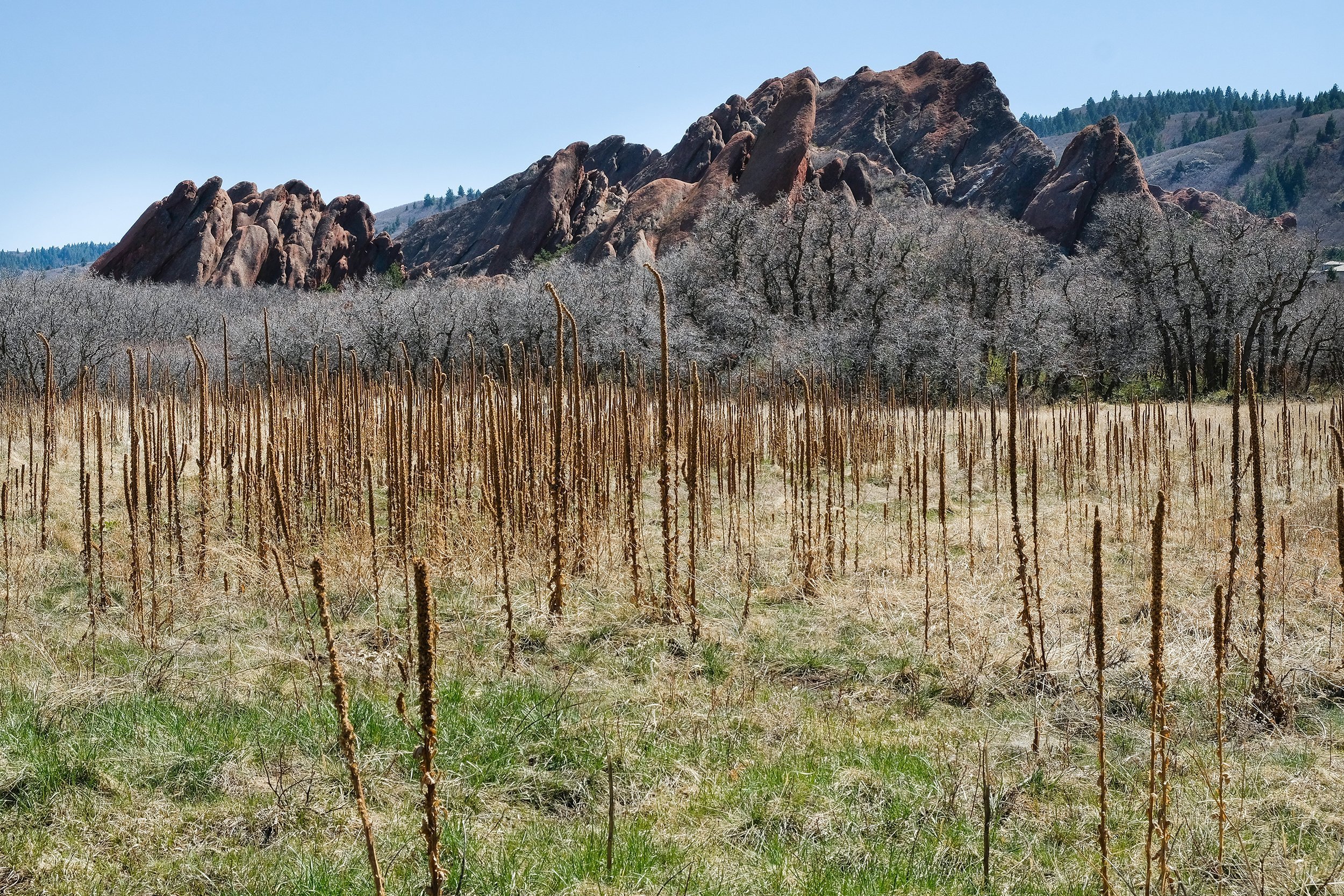 Day Trips Denver - Roxborough