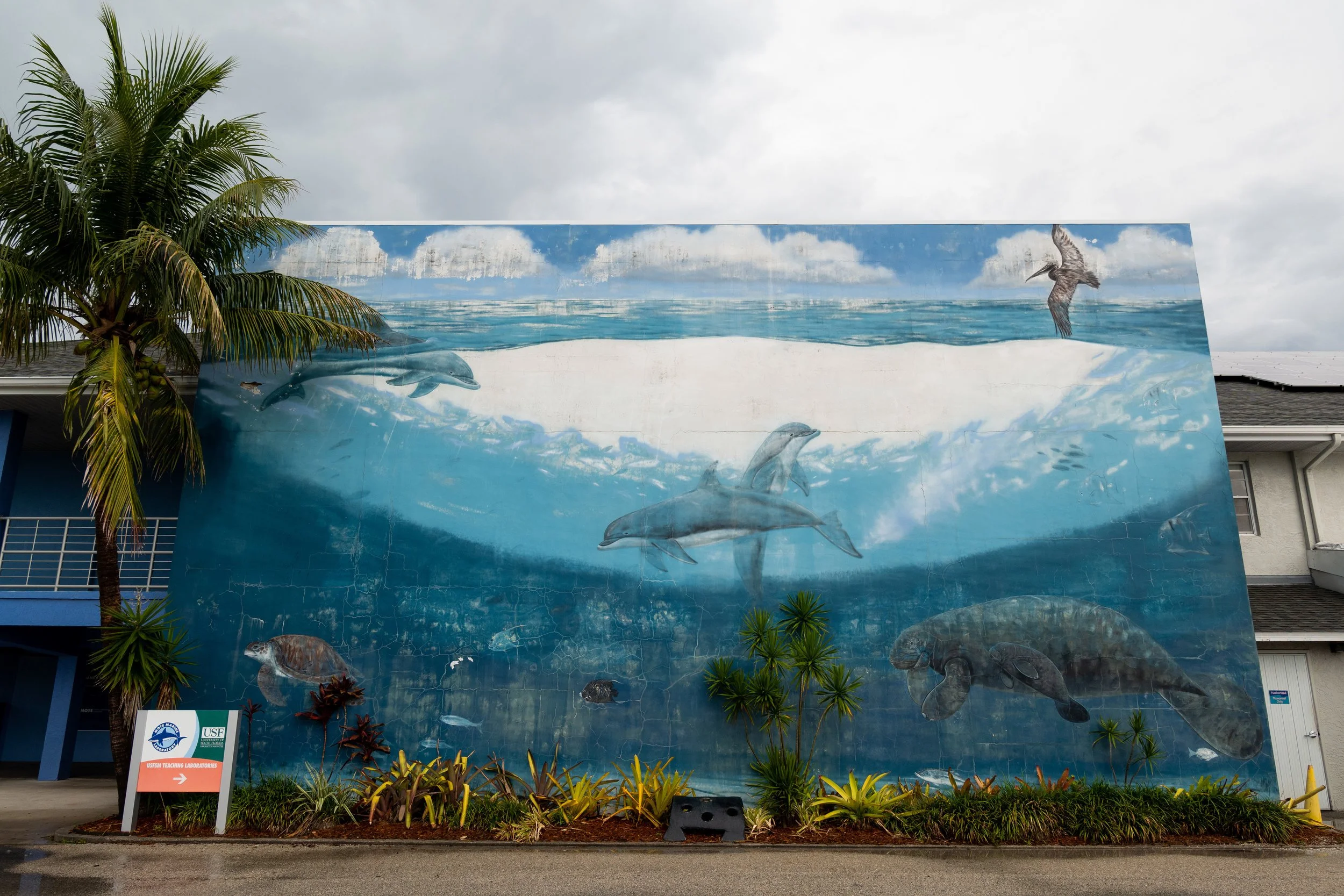 SARASOTA06.JPG