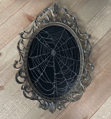 Framed Preserved Spider Web