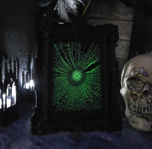 Glow in the Dark Real Preserved Spider Web