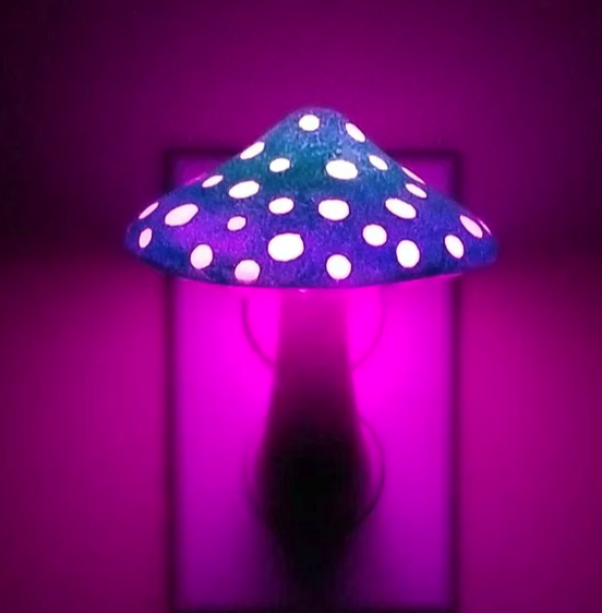 Mushroom Lamps — Travels and Curiosities  Curious Travel Destinations and  Hidden Gems