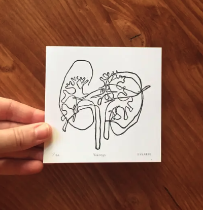 Kidneys Print, Tiny Artwork