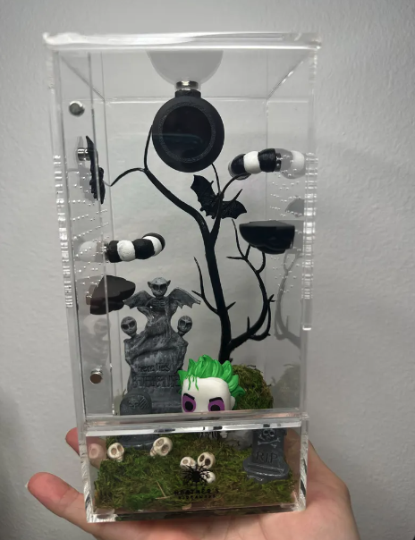 Beetlejuice Enclosure