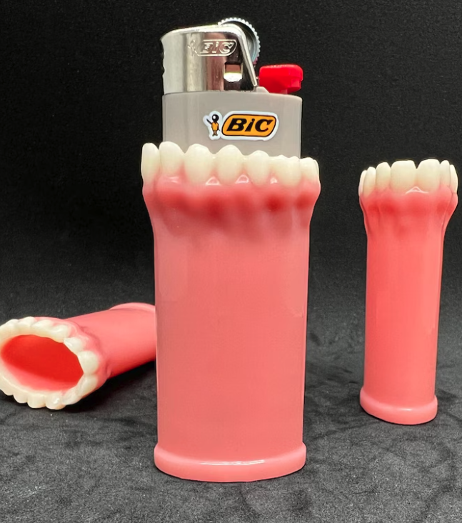 Dentures Lighter Case