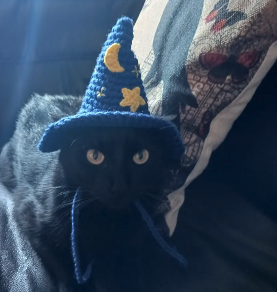 Witch Hat Pet Costume