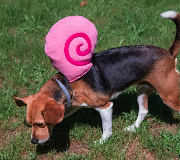 Snail Dog Costume
