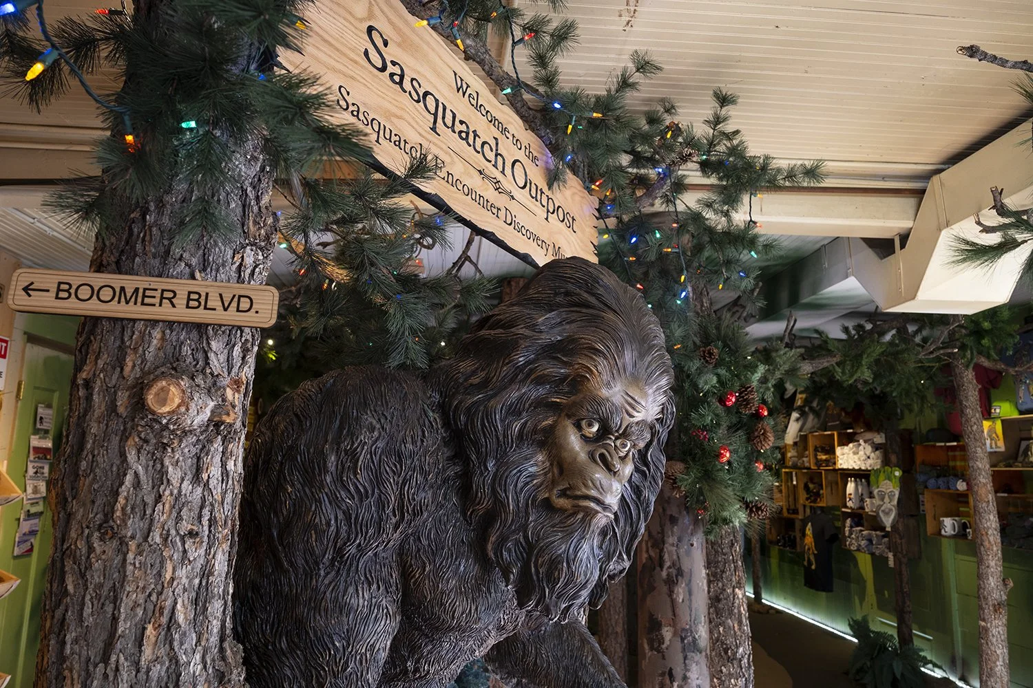 Sasquatch Outpost — Travels and Curiosities | Curious Travel ...