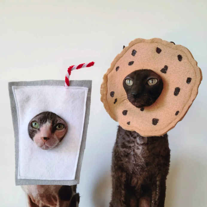 Unique Handmade Pet Costumes — Travels and Curiosities | Curious Travel ...