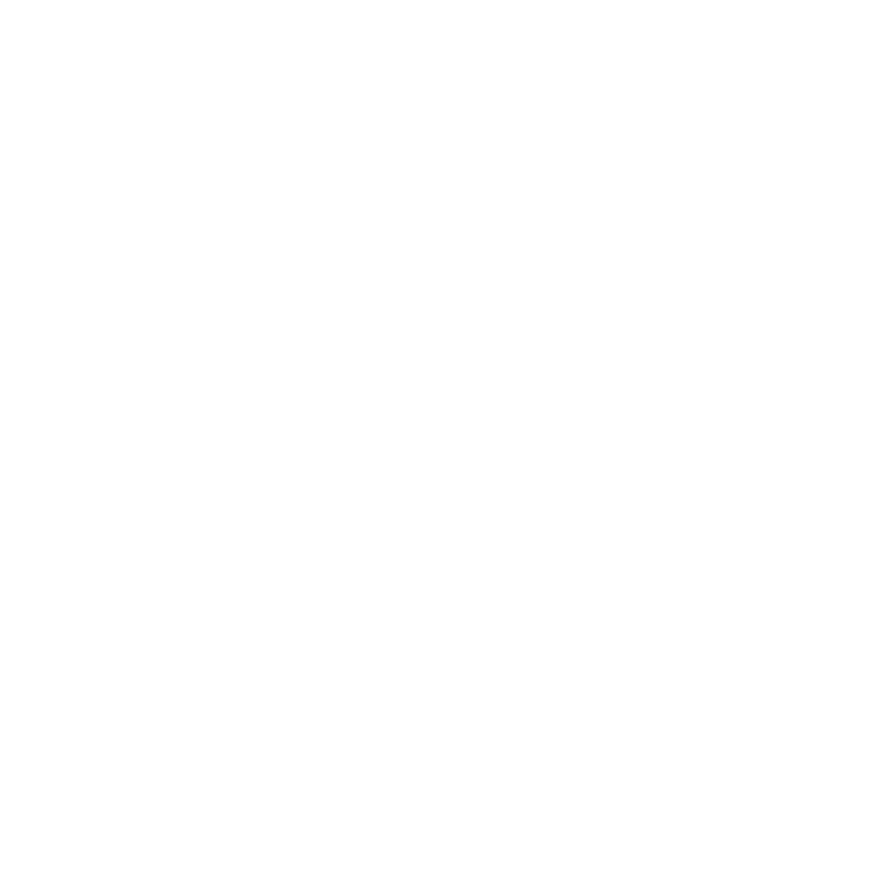 Program step 01 Strategy