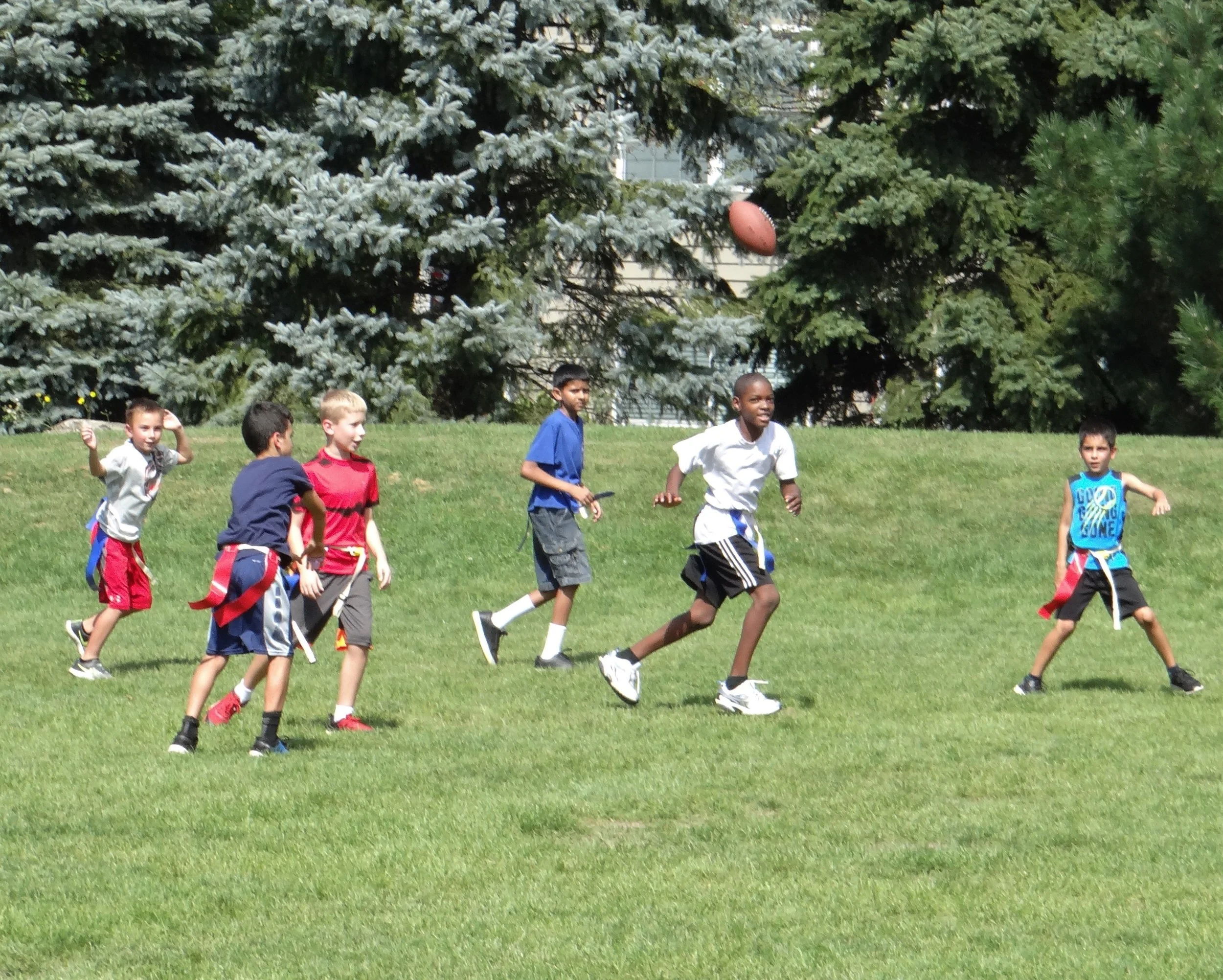 Store 2 — Long Grove Park District