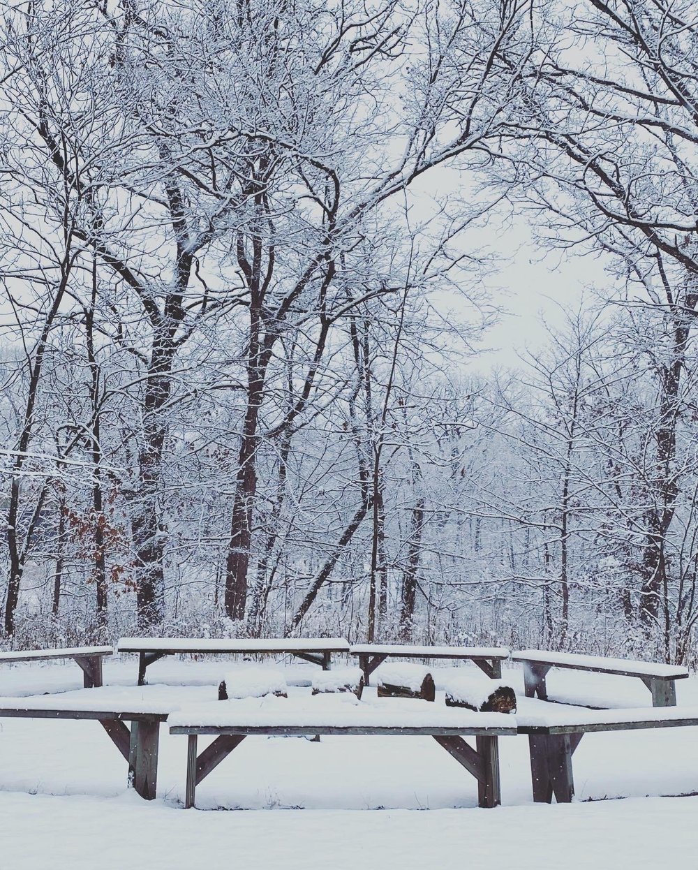 Services 1 — Long Grove Park District