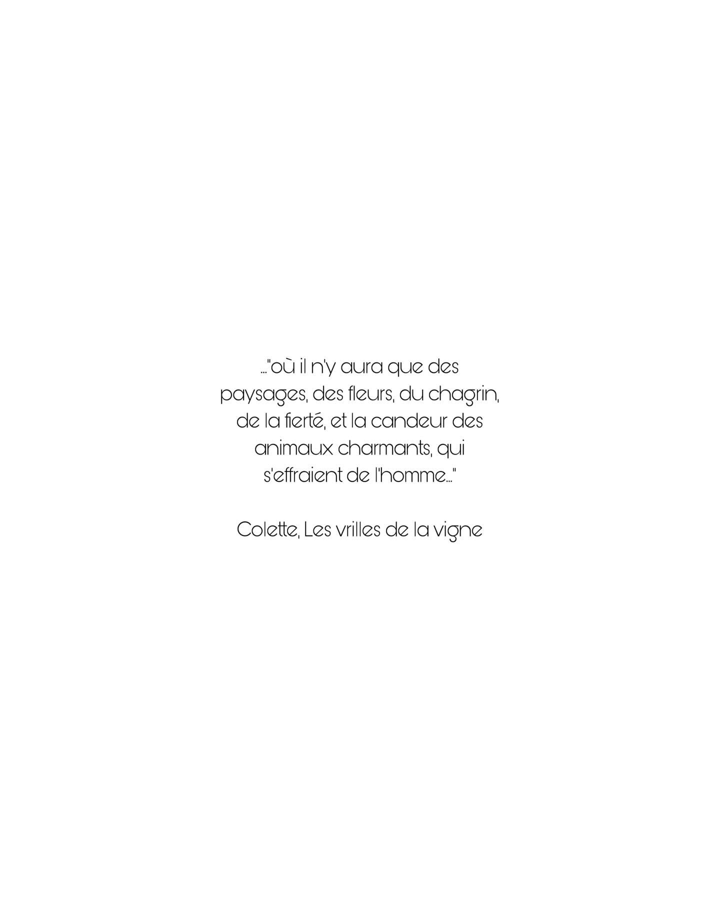 &laquo;&nbsp;Je veux faire ce que je veux. Je veux jouer la pantomime, m&ecirc;me la com&eacute;die. Je veux danser nue, si le maillot me g&ecirc;ne et humilie ma plastique. Je veux me retirer dans une &icirc;le, s&rsquo;il me pla&icirc;t, ou fr&eacu