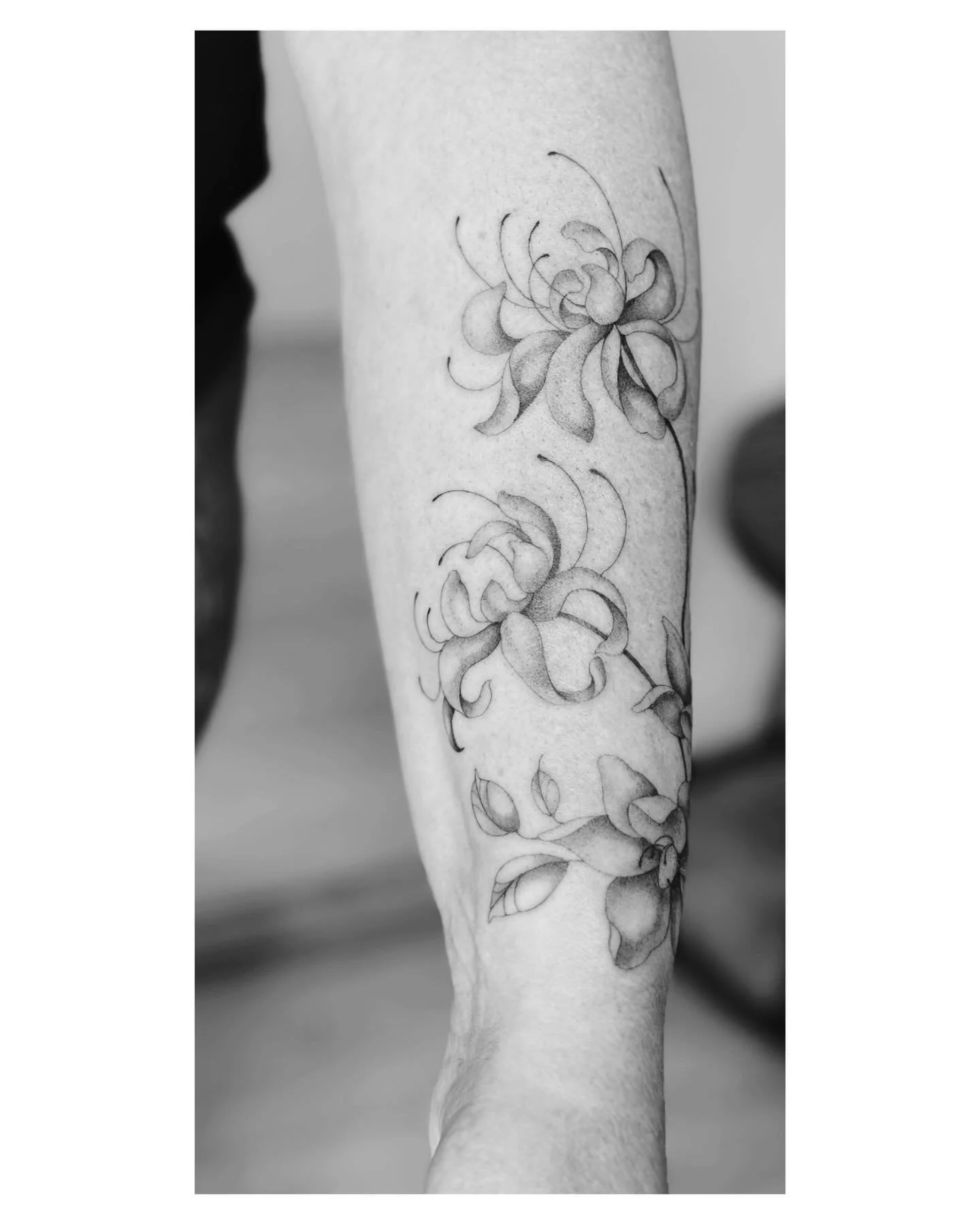 Lys araign&eacute;e et magnolias. Merci &agrave; Vanessa venue de Toulon pour cette tr&egrave;s belle s&eacute;ance et ce projet en hommage &agrave; sa maman.
Free hand only !
.
.
.
#tatoueusemontpellier #atelierroseimaginaire #tatoueusemarseille #ta