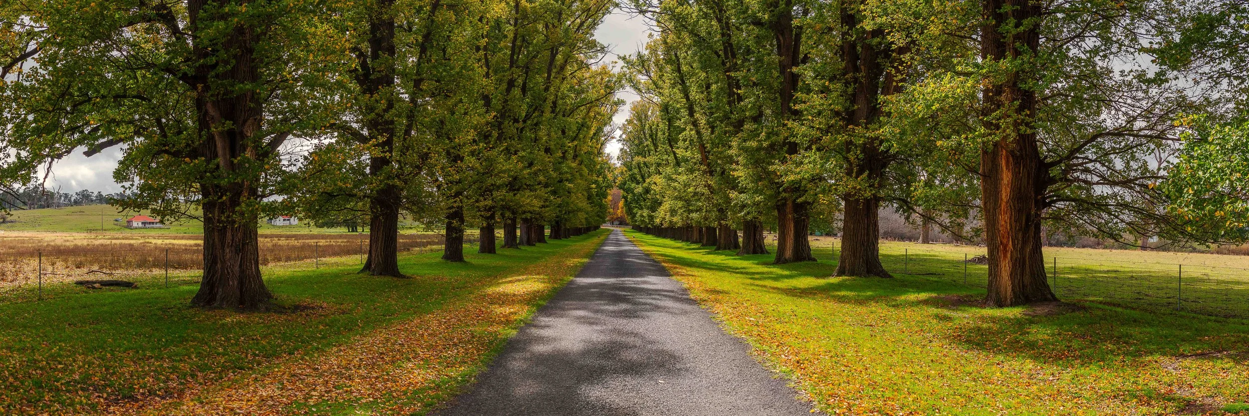 Autumn in the New England – Landscape Photography Workshop