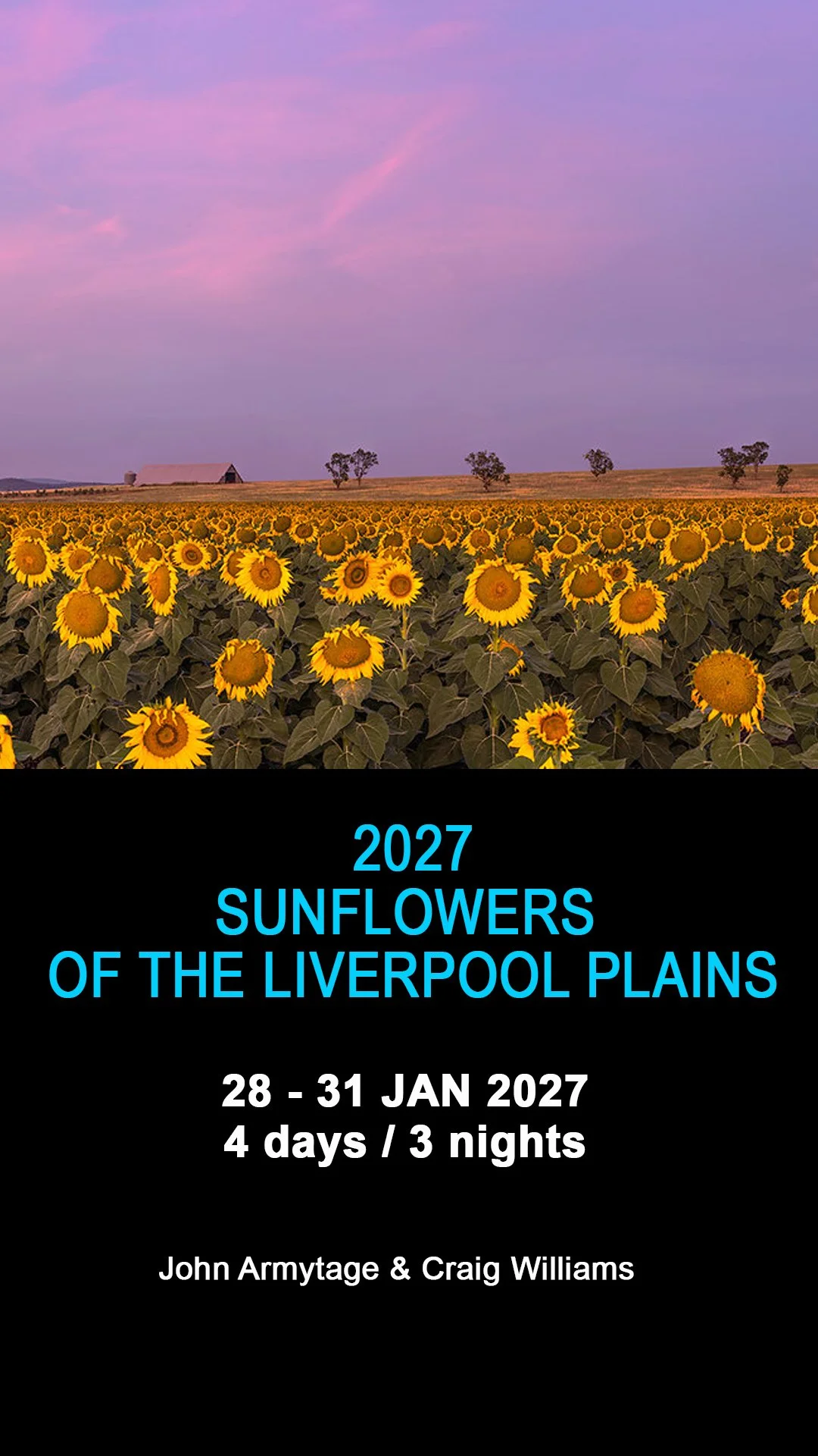 SUNFLOWERS OF THE LIVERPOOL PLAINS 2027 28–31 January 2027 | Quirindi