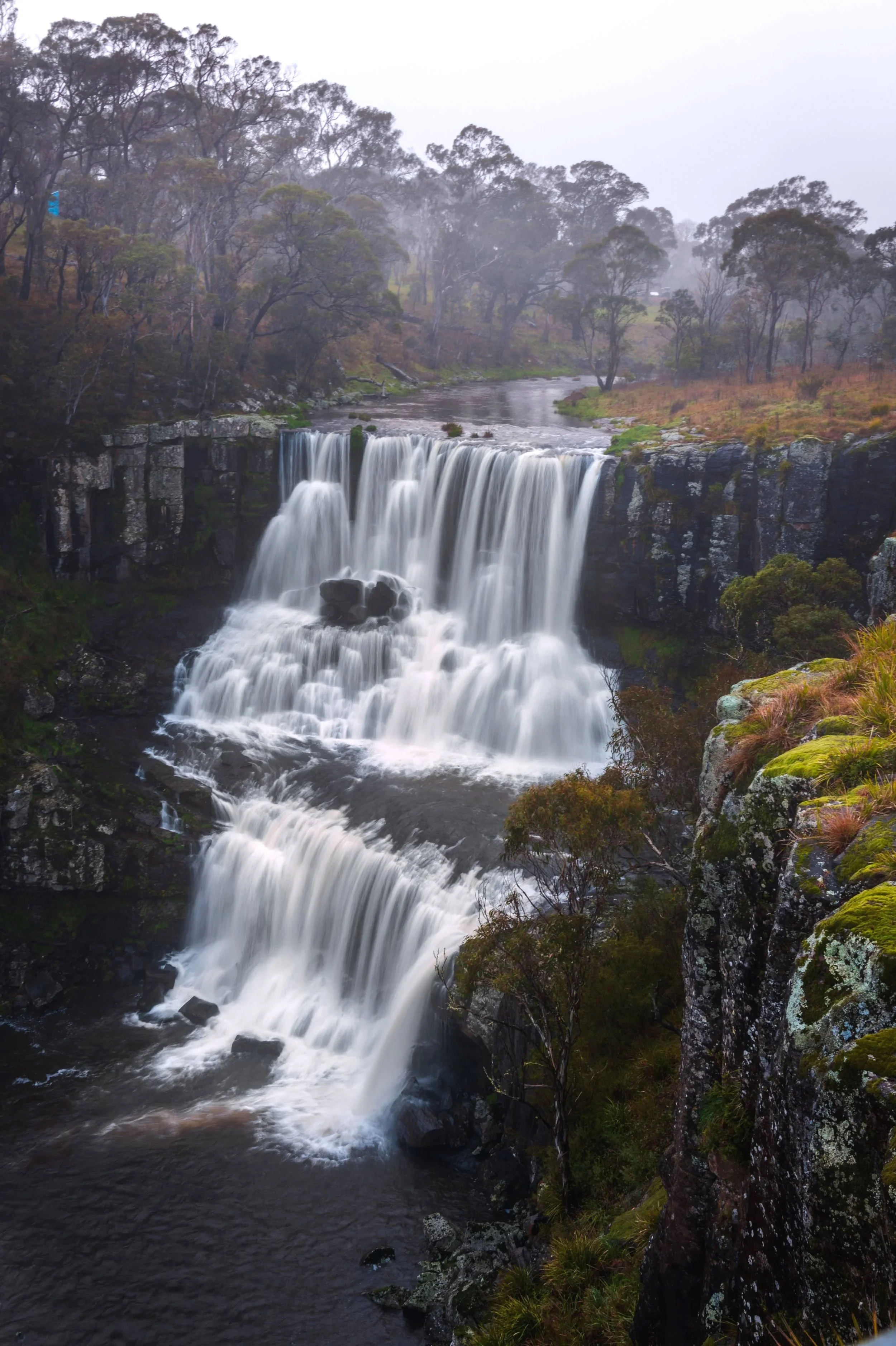 Ebor Falls