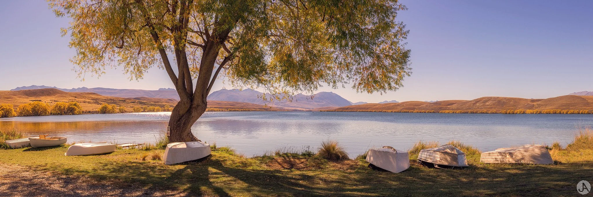 Lake Alexandrina New Zealand