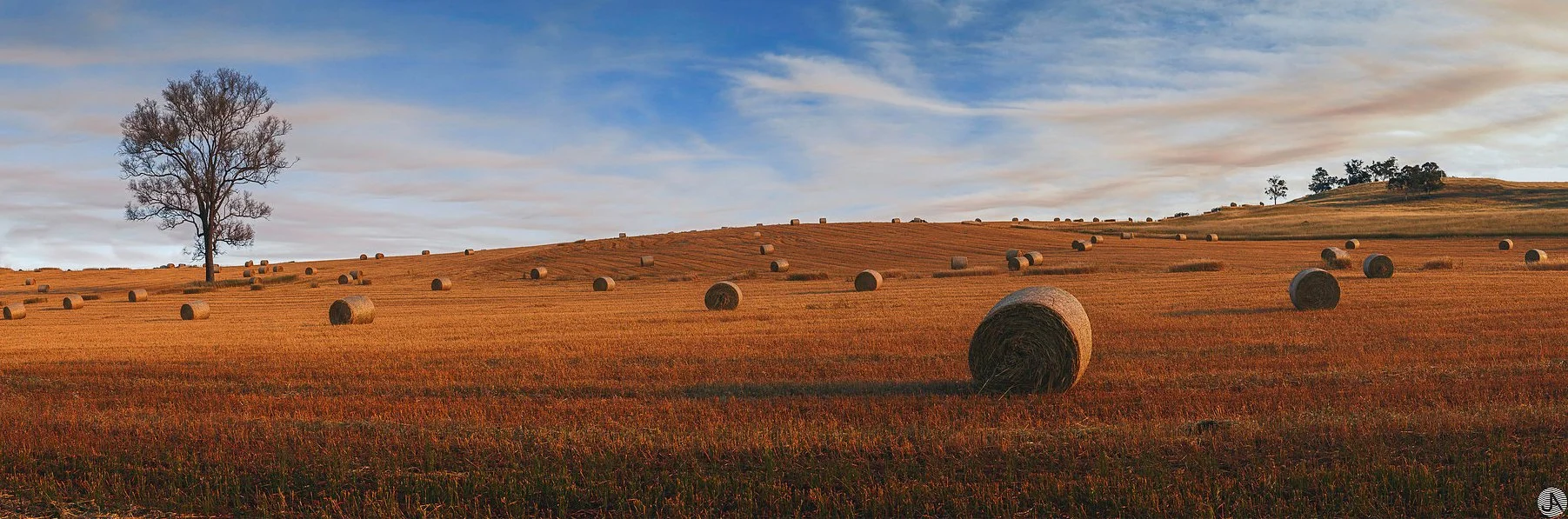 Western Australia - Country Australia .jpg