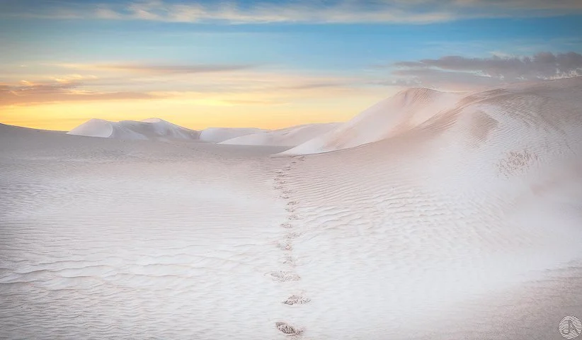 Western Australia - Footprints in the sand.jpg