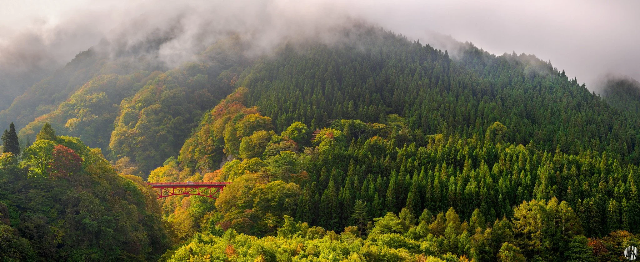 Japan_1 - %22Autumn Colours%22.jpg