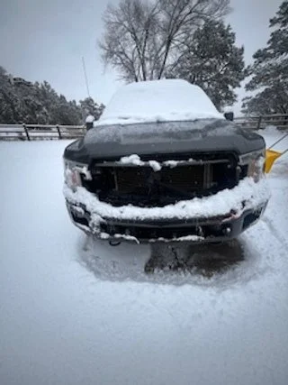 We Were Lucky. The Deer Wasn't.